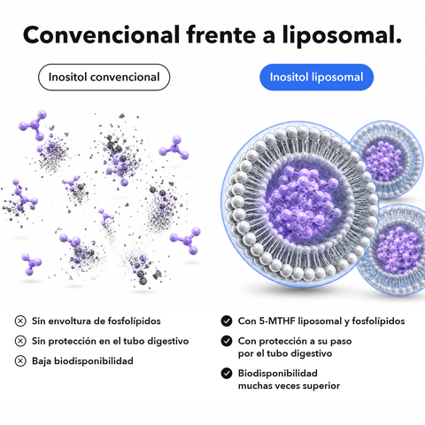Inositol + 5-MTHF Liposomal: Convencional frente a liposomal