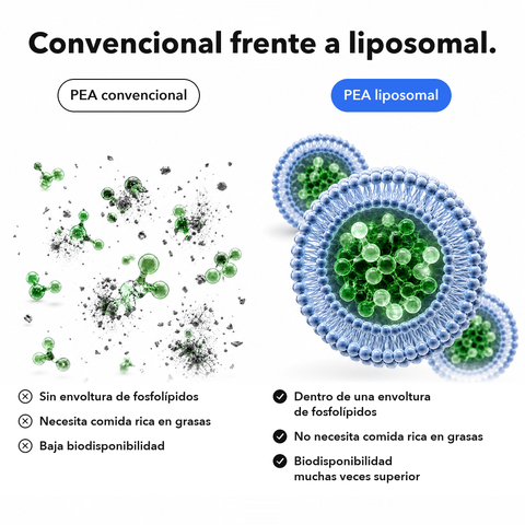 PEA Liposomal: Convencional frente a liposomal