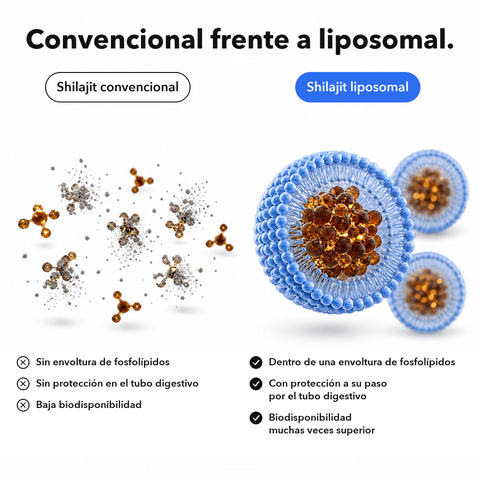 Shilajit Liposomal: Convencional frente a liposomal