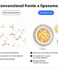 Ácido Alfa-Lipoico Liposomal (ALA): Convencional frente a liposomal
