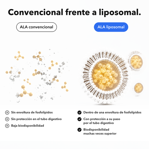 Ácido Alfa-Lipoico Liposomal (ALA): Convencional frente a liposomal
