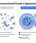 Balance Interno Liposomal: Convencional frente a liposomal