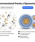Biotina Liposomal: Convencional frente a liposomal