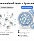 Citrato de Magnesio Liposomal: Convencional frente a liposomal