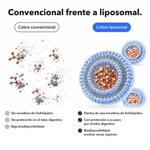 Cobre Liposomal: Convencional frente a liposomal