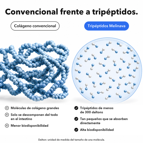 Colágeno Marino: Convencional frente a tripéptidos