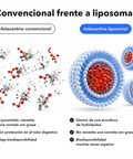 Extracto de Astaxantina Liposomal: Convencional frente a liposomal