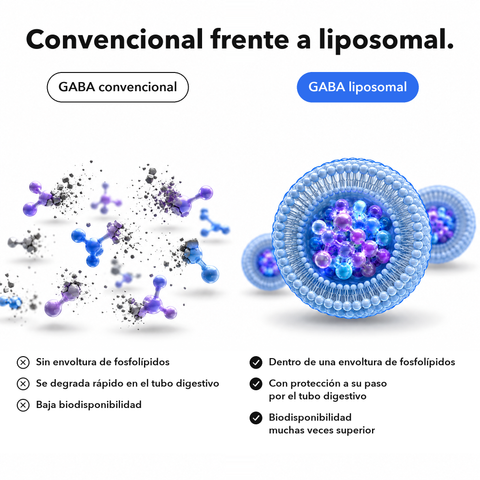 GABA Liposomal: Convencional frente a liposomal