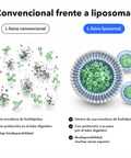 L‑Lisina Liposomal: Convencional frente a liposomal