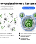L‑Teanina Liposomal: Convencional frente a liposomal