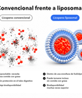 Licopeno Liposomal: Convencional frente a liposomal