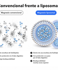 Magnesio Liposomal: Convencional frente a liposomal
