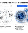 Melatonina Liposomal: Convencional frente a liposomal