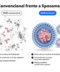 MSM Liposomal: Convencional frente a liposomal