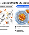 Multivitaminas Liposomales: Convencional frente a liposomal