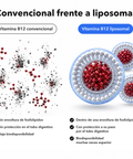 Vitamina B12 Liposomal (Cápsulas): Convencional frente a liposomal