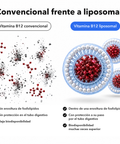 Vitamina B12 Liposomal: Convencional frente a liposomal