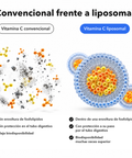 Vitamina C Liposomal (Cápsulas): Convencional frente a liposomal