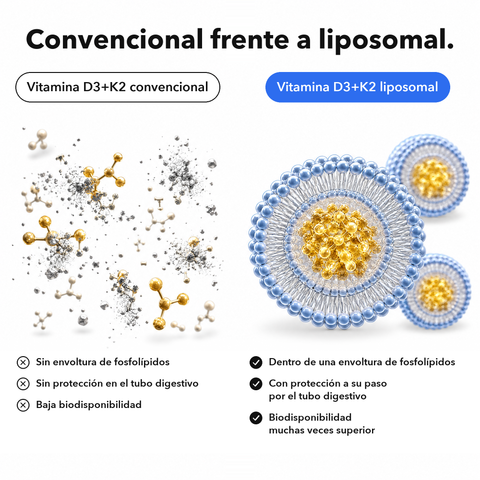 Vitamina D3+K2 Liposomal: Convencional frente a liposomal