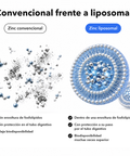 Zinc Liposomal: Convencional frente a liposomal
