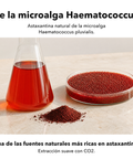 Extracto de Astaxantina Liposomal: De la microalga Haematococcus