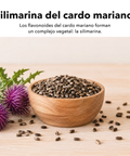 Extracto de Cardo Mariano Liposomal: Silimarina del cardo mariano