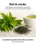 L‑Teanina Liposomal: Del té verde