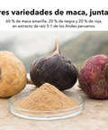 Raíz de Maca Liposomal: Tres variedades de maca, juntas