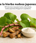 Resveratrol Liposomal: De la hierba nudosa japonesa