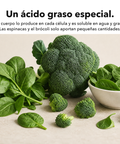 Ácido Alfa-Lipoico Liposomal (ALA): Un ácido graso especial