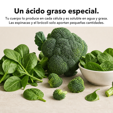 Ácido Alfa-Lipoico Liposomal (ALA): Un ácido graso especial