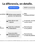 NADH Liposomal: La diferencia, en detalle