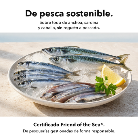 Omega 3: De pesca sostenible