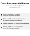 Complejo de Hierro Liposomal: Otras funciones del hierro
