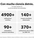 Extracto de Cardo Mariano Liposomal: Con mucha ciencia detrás