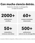 Ashwagandha Liposomal: Con mucha ciencia detrás