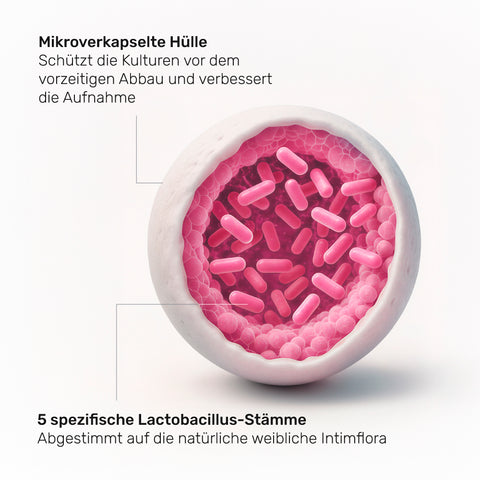 Intima Probiotika Mikroverkapselt