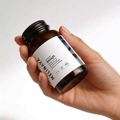 Liposomales Shilajit